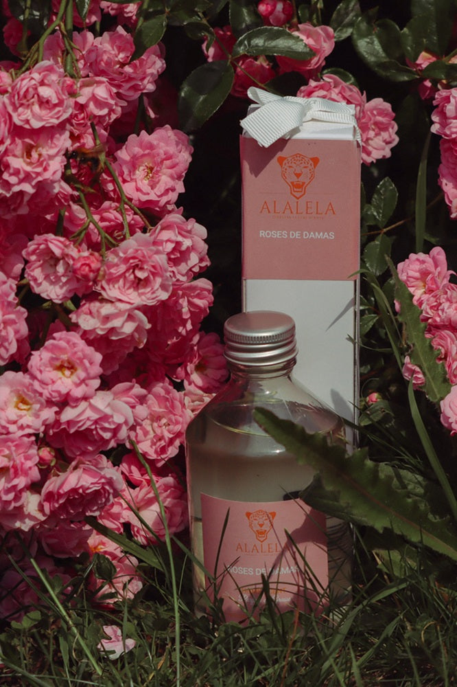 DIFFUSEUR A LA ROSE