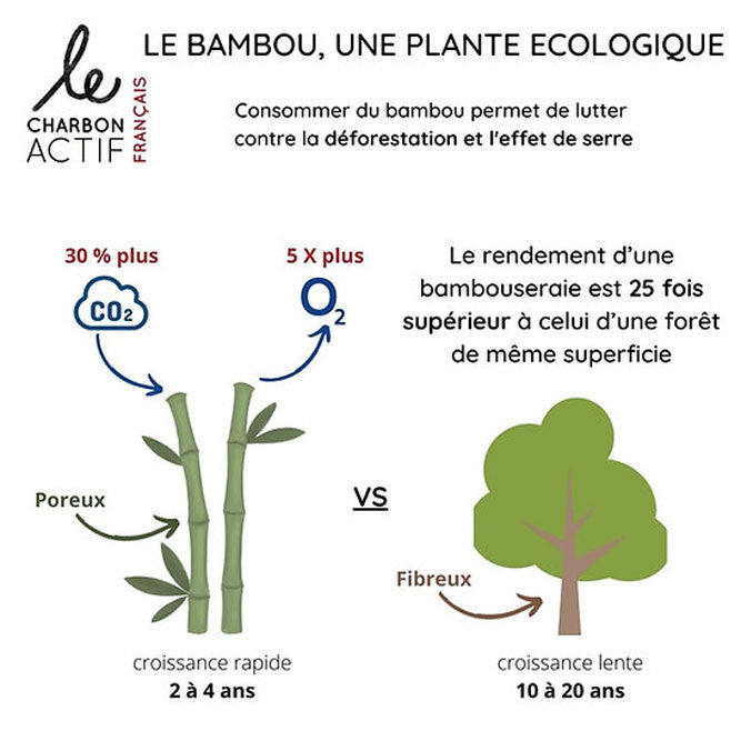 X3 Charbons de bambou 100% français filtre à eau-4