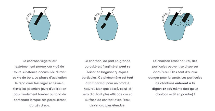 X3 Charbons de bambou 100% français filtre à eau-6