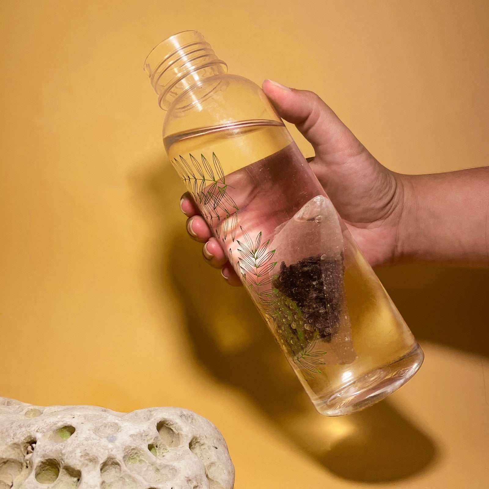 2 bâtons de charbons filtres à eau naturels + 1 filtre à gourde OFFERT